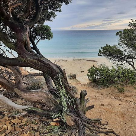 Resonance Experience - Tranquil Room Close To Beaches And Sacred Sites Sant Isidoro  Extérieur photo