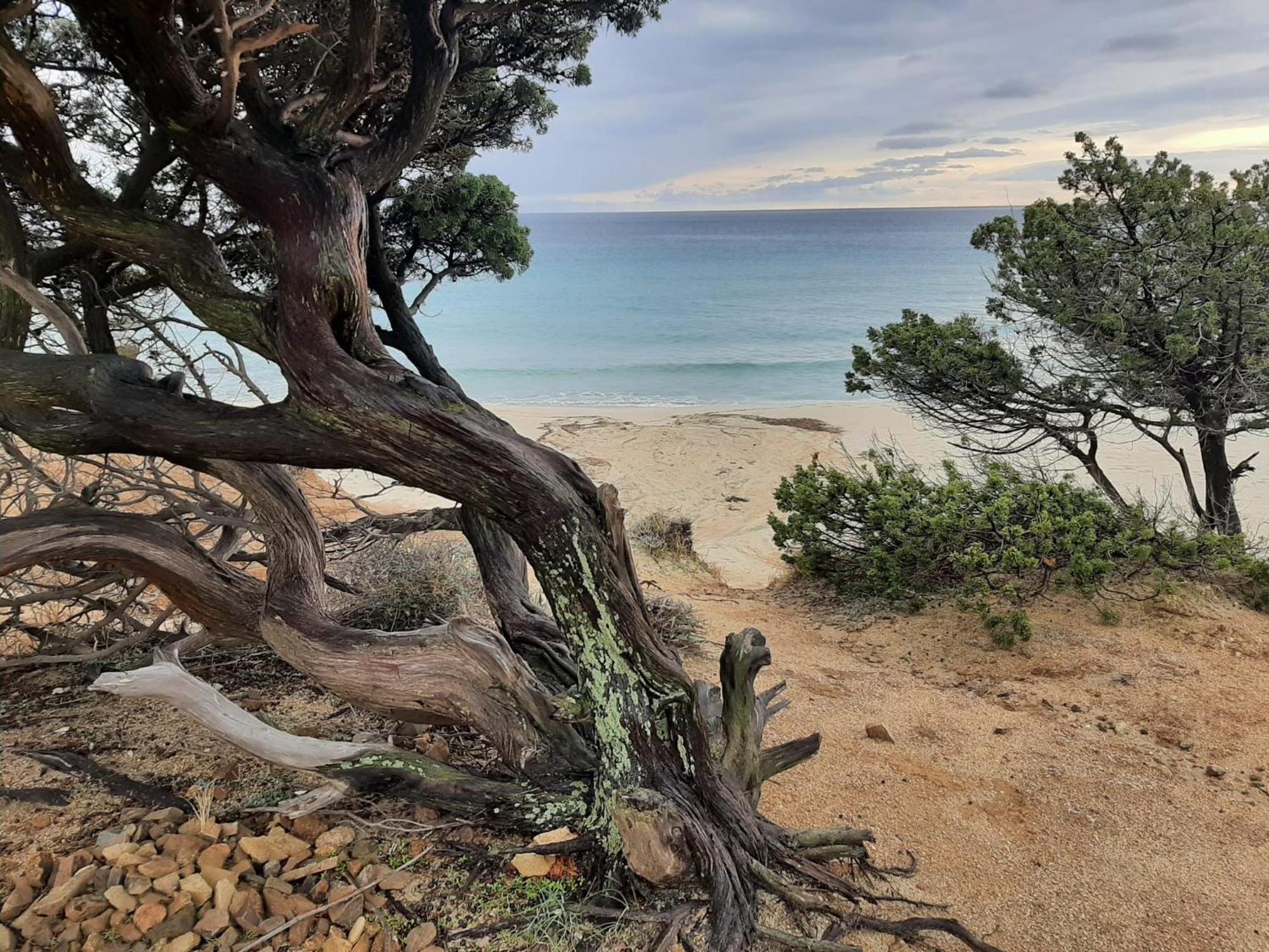 Resonance Experience - Tranquil Room Close To Beaches And Sacred Sites Sant Isidoro  Extérieur photo