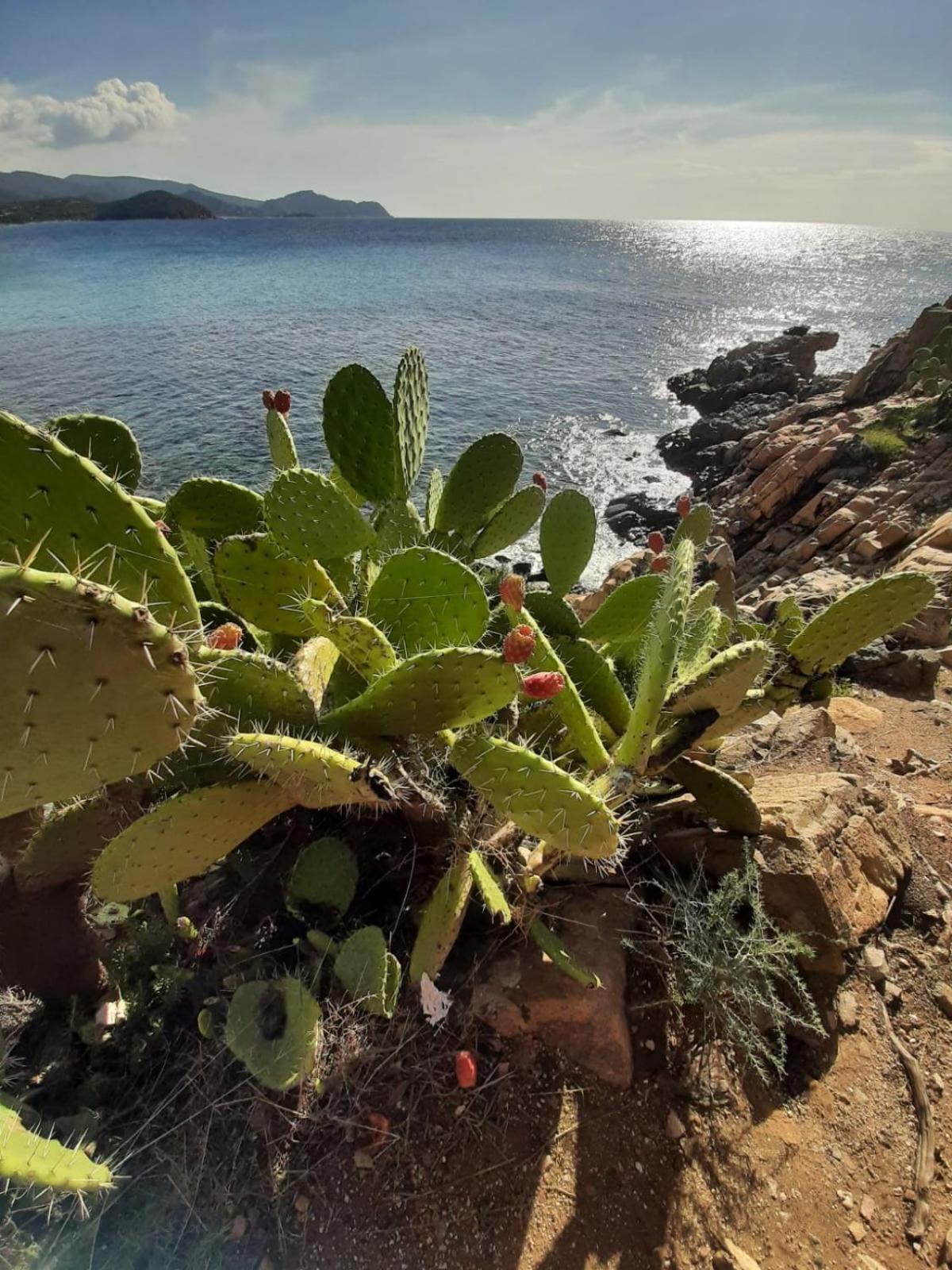 Resonance Experience - Tranquil Room Close To Beaches And Sacred Sites Sant Isidoro  Extérieur photo