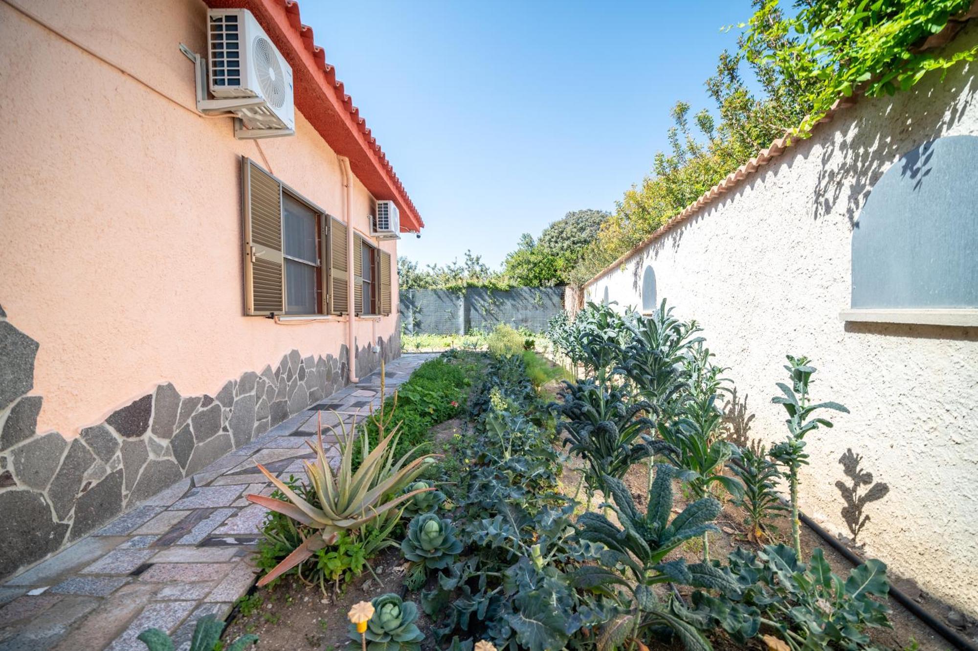 Resonance Experience - Tranquil Room Close To Beaches And Sacred Sites Sant Isidoro  Extérieur photo